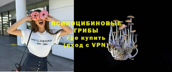 винт Бородино
