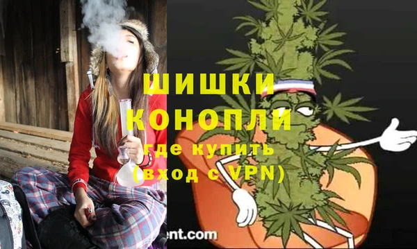 винт Бородино