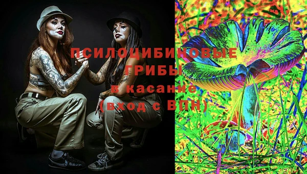 винт Бородино